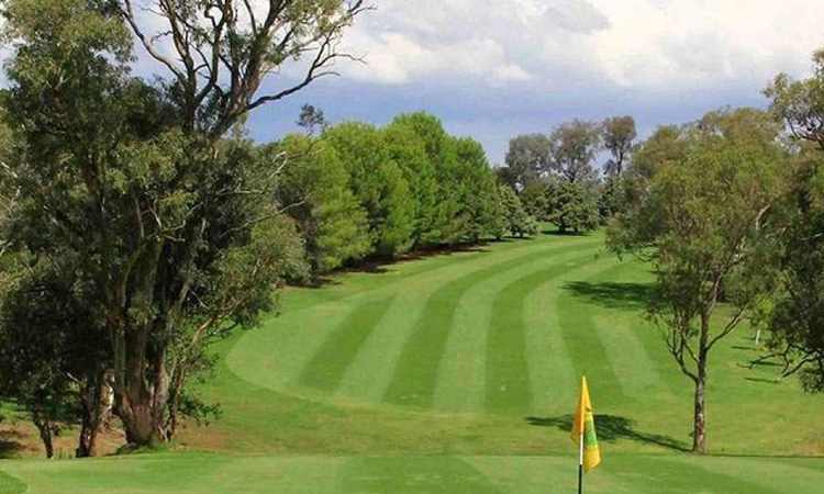Young Golf Club